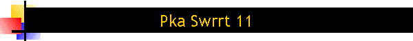 Pka Swrrt 11