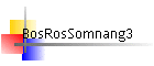BosRosSomnang3