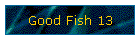 Good Fish 13