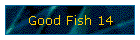 Good Fish 14