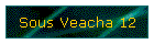 Sous Veacha 12