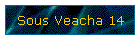 Sous Veacha 14