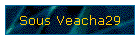 Sous Veacha29