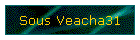 Sous Veacha31