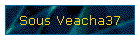 Sous Veacha37