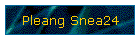 Pleang Snea24