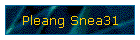 Pleang Snea31