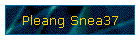Pleang Snea37