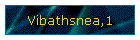 Vibathsnea,1