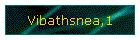 Vibathsnea,1