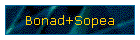 Bonad+Sopea