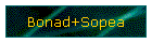 Bonad+Sopea