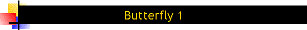 Butterfly 1