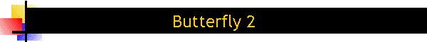 Butterfly 2