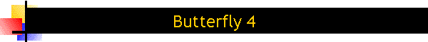 Butterfly 4