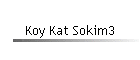 Koy Kat Sokim3
