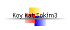 Koy Kat Sokim3