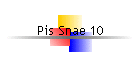 Pis Snae 10