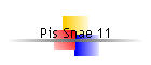Pis Snae 11