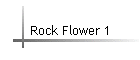Rock Flower 1