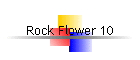 Rock Flower 10