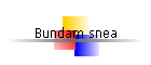 Bundam snea
